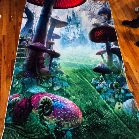 Kate backdrop bundle 5x7 - Picture 5 of 15